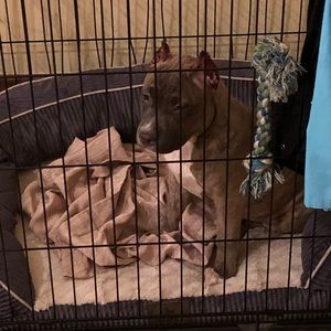 Meet your Posher, Danny